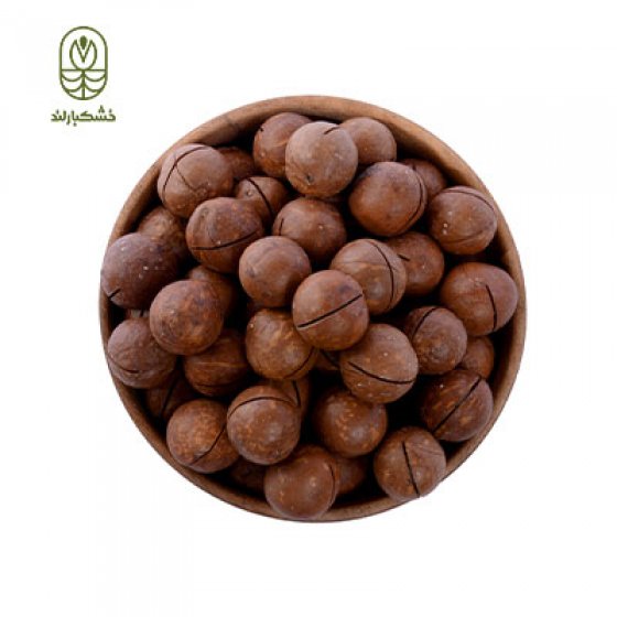 ماکادمیا سایز درشت