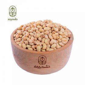 سویا آجیلی