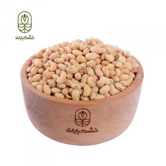 سویا آجیلی