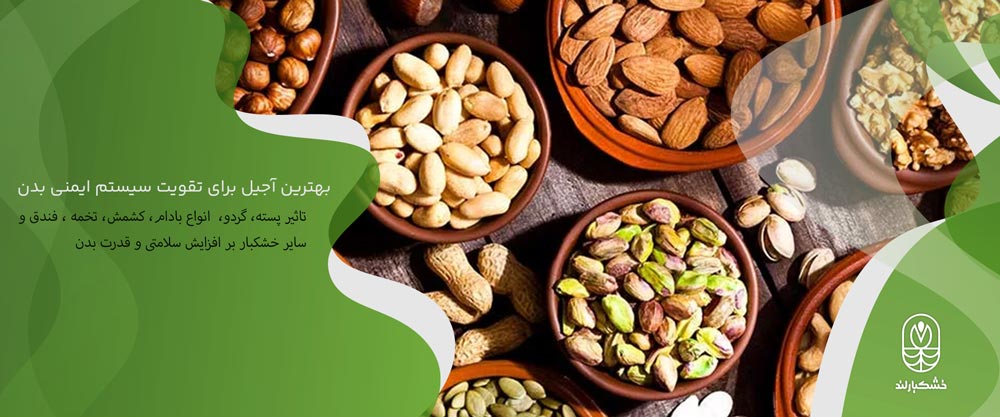 بهترین آجیل برای تقویت سیستم ایمنی بدن