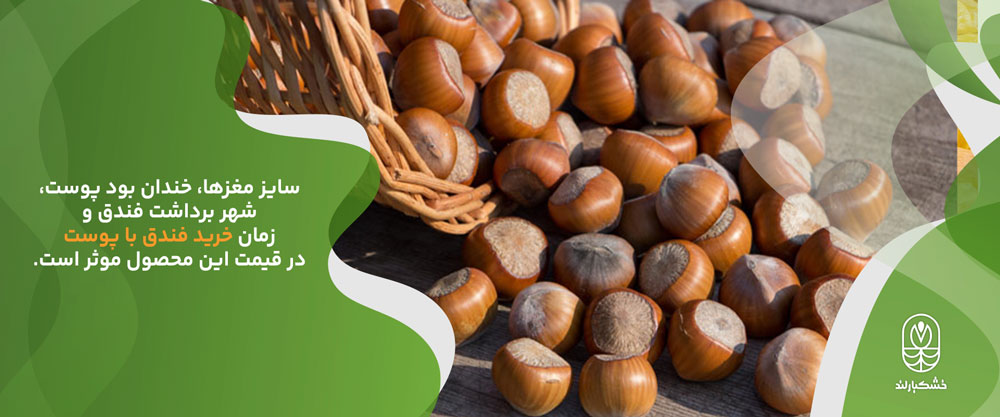 خرید فندق با پوست
