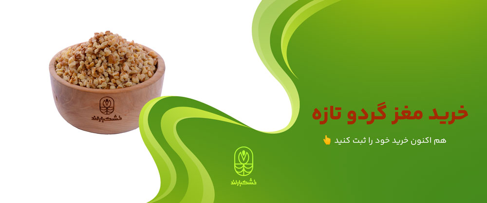 خرید گردو تازه