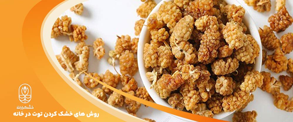 بهترین روش خشک کردن توت سفید در خانه