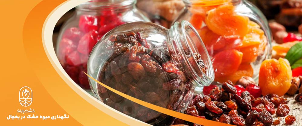 نگهداری میوه خشک در یخچال