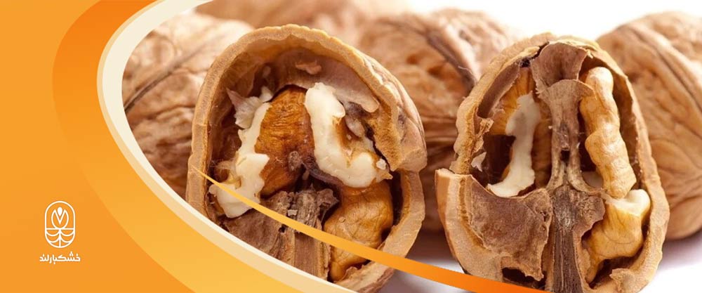 گردو برای کبد چرب