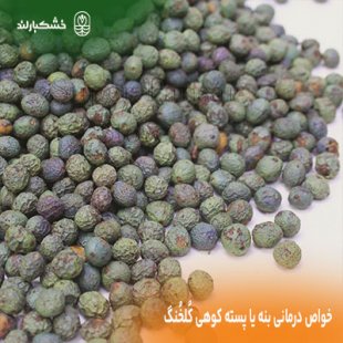 خواص درمانی بنه یا پسته کوهی کُلخُنگ