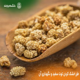 طرز خشک کردن توت سفید و نگهداری آن در خانه