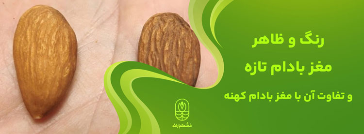مغز بادام تازه
